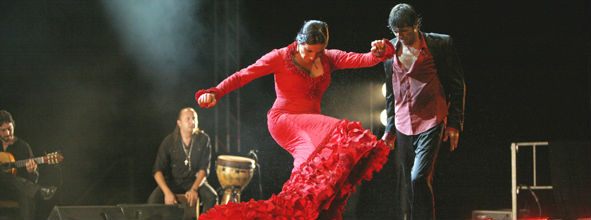 flamenco 2